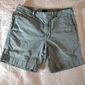 J. Crew Shorts (30)